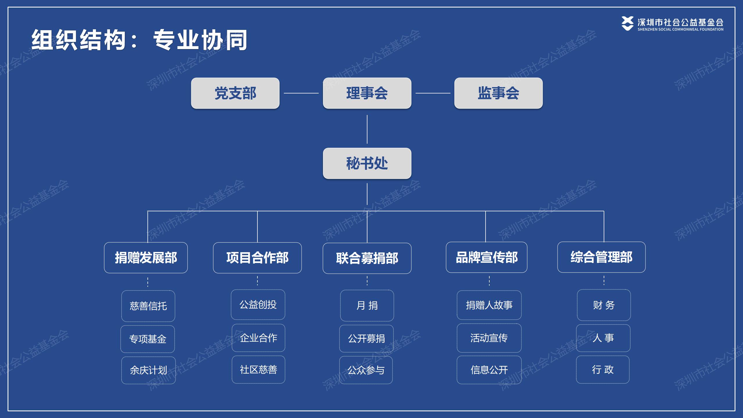 深圳市社会公益基金会介绍20260325_01.jpg